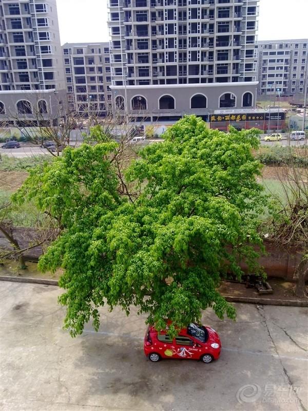 汽車改裝圖片