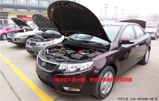 暗櫻紅福瑞迪簡單裝飾+示寬、淚眼加裝