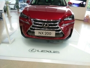 [外觀] 雷克薩斯NX200中網(wǎng)