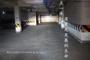 成都標(biāo)致508改燈|改裝LED日行燈梅花燈移植智享版高配氙氣燈