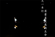 昂克赛拉改车灯 新马3改装原厂Q5双光透镜氙气大灯LED日行灯