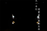 昂克賽拉改車燈 新馬3改裝原廠Q5雙光透鏡氙氣大燈LED日行燈