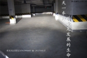 成都奧迪Q3改燈進(jìn)取改裝原廠豪華高配大燈總成LED光導(dǎo)日行燈