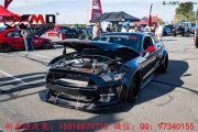 15款 新款 福特野馬Mustang 碳纖維中網(wǎng) 改裝無標中網(wǎng) 包圍 ...