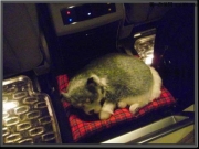 奔馳E300艾森刷ECU，油門變輕、提速更猛！