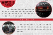 逸動車燈改裝Q5雙光透鏡LED水晶雙色淚眼（南充友誠車燈）...