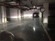 奧迪A6車燈升級原廠海拉2代總成加09款LED淚眼行車燈