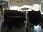 新奇駿升級(jí)摩雷喜力士