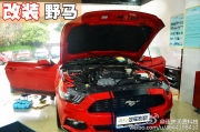 福特野馬汽車音響改裝-歐迪臣AFS2套裝喇叭+UF4+FW100B低音炮