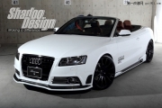 Audi奧迪A5Coupe 改裝ROWEN包圍套件