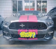 [外觀] 新野馬改裝碳纖維蛇標(biāo)中網(wǎng)