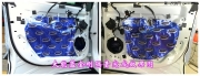 【洛陽世界汽車音響】福特銳界音響改裝德國海螺3.16S 洛...