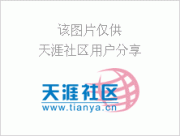 福特翼搏價格 售價9.48萬元起 SUV觸手可及
