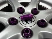 二臺(tái) CIVIC 8代  安裝DGR避震器