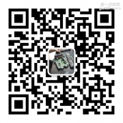 寶馬525 2.0t 刷ecu 寶馬525展現(xiàn)出它的風采