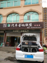 匠心之作 雪鐵龍愛麗舍汽車音響改裝DR C165喇叭—壽光將君...