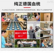 現(xiàn)場(chǎng)分解---德國(guó)佛倫詩(shī)FLUX NEO-260二路套裝喇叭