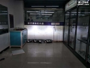 西寧精藝精奇駿大燈改裝原廠Q5透鏡 全新飛利浦D1S 飛  利...