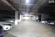 南京寶來車燈改裝升級海拉5雙光透鏡氙氣燈