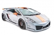 無可挑剔的藝術(shù)品H&R Gallardo Victory
