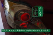 豐田威馳大燈改裝海拉三小糸Q5偉士通雙光透鏡天使眼氙氣燈