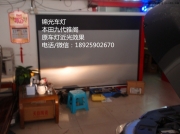 本田九代雅閣海拉5