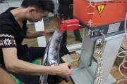 成都逍客改燈 改裝原廠Q5超級(jí)海拉5雙光透鏡氙氣大燈LED日...