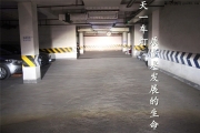 成都思鉑睿車燈改裝原廠Q5小糸海拉5雙氙燈日行燈