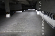 成都森林人改燈 改裝大燈總成LED日行燈光導(dǎo)淚眼Q5透鏡氙燈