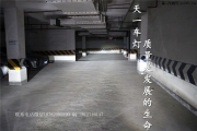 成都高爾夫7改車燈 改裝國產(chǎn)高配GTI雙U日行燈LED雙光透鏡Q5...