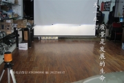 成都起亞K5改燈改裝Q5雙光透鏡氙氣大燈LED日行燈