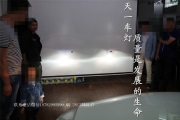 成都高爾夫7改燈高7大燈總成改裝雙ULED氙氣大燈Q5透鏡
