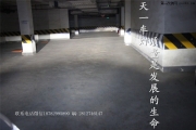 成都Q3改燈大燈總成改裝豪華旗艦版LED日行燈海拉透鏡氙氣燈